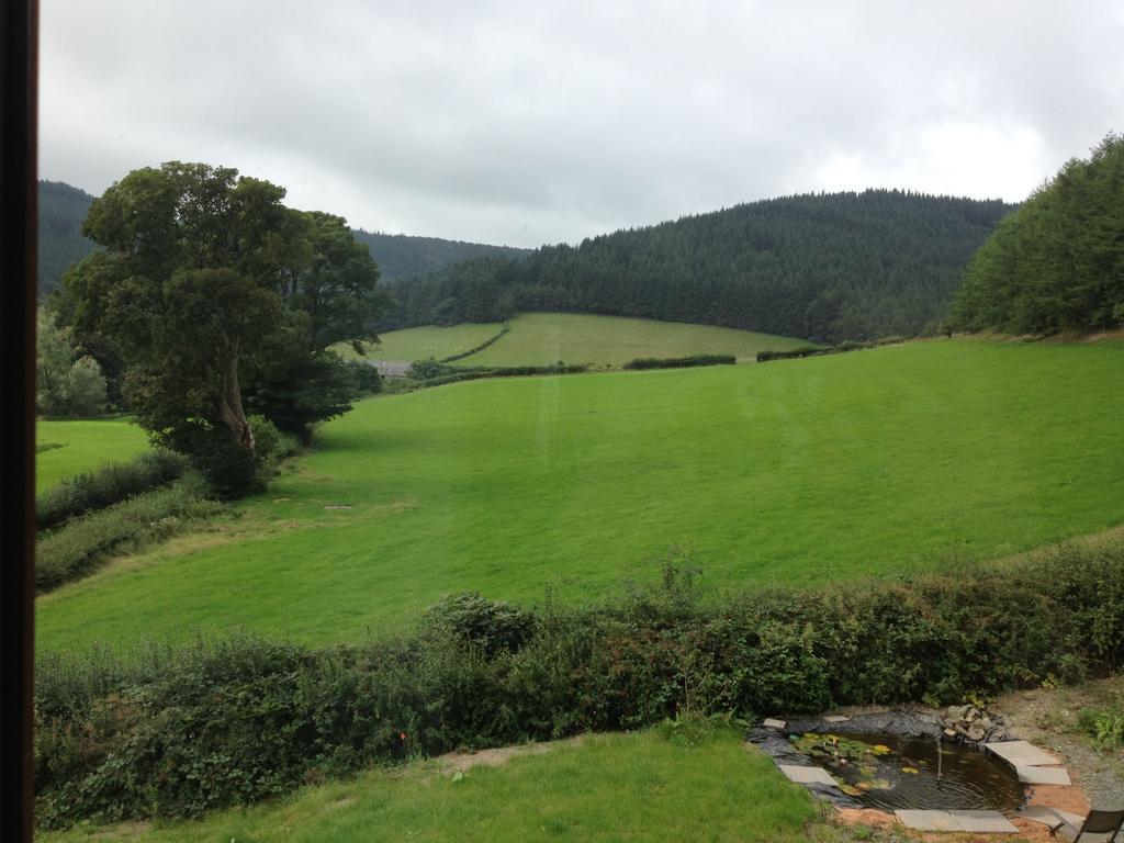 Laurel Bank Bed & Breakfast Abbey-Cwmhir Luaran gambar